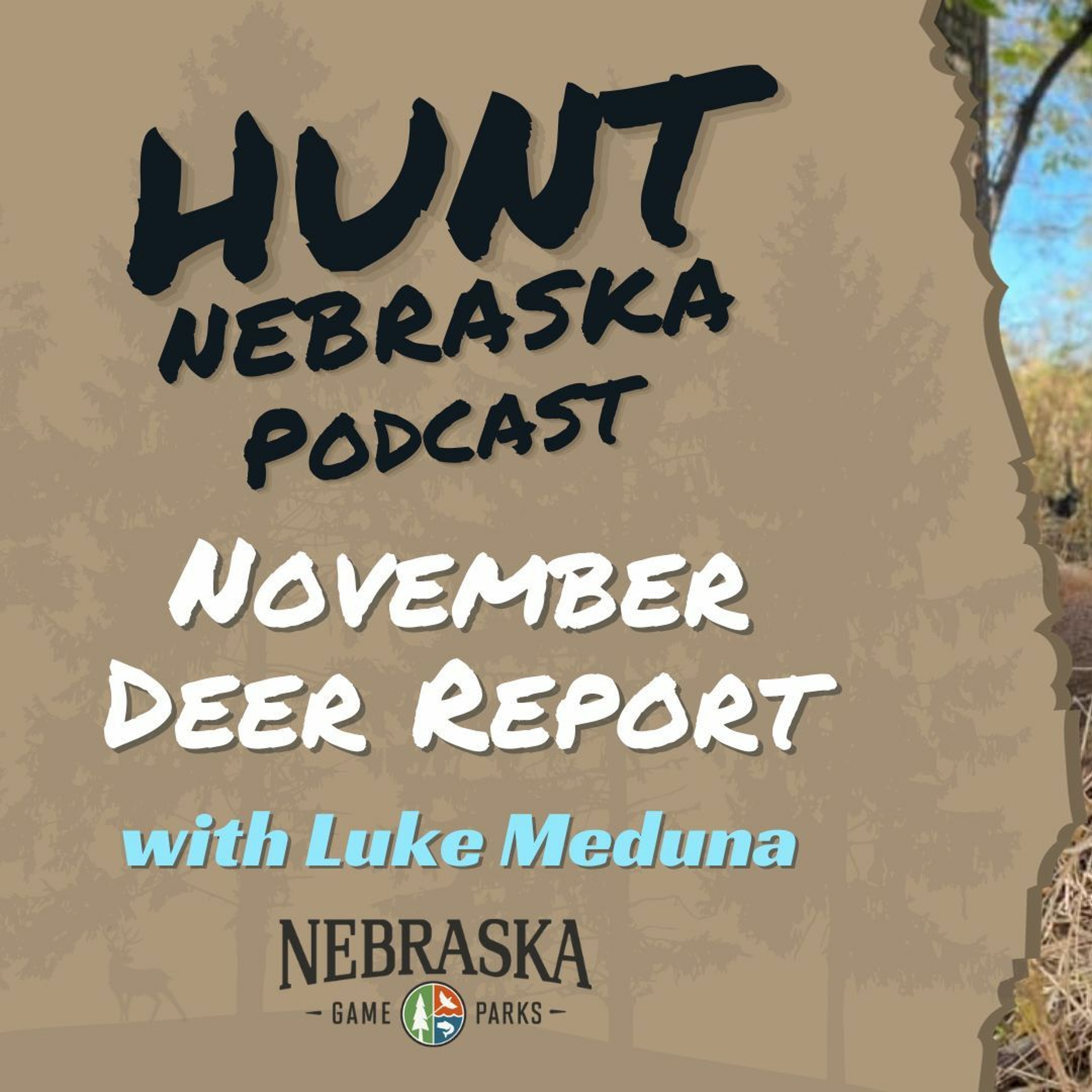 November Deer Report