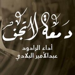 05 دمعة لا تجف - عبدالامير البلادي - ليلة 12 محرم 1446هـ 2024م