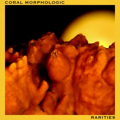 Rarities