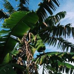 Olivia Dean- man i need - León  Remix