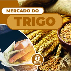 Mercado do TRIGO 18-05-2022