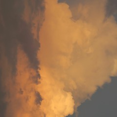 i stole this from mobo