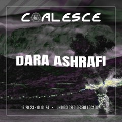Dara Ashrafi At The Barrel 2024