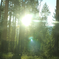 the vine x guitarl0ser