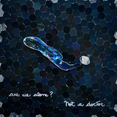 Not a Doctor - Are We Alone (Original Mix)