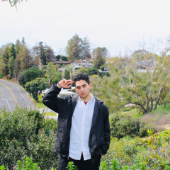 ULTIMATE (PROD. MARSHALL MATHERS)