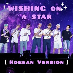BTS - Wishing On A Star (Live At BTS 6th Muster)