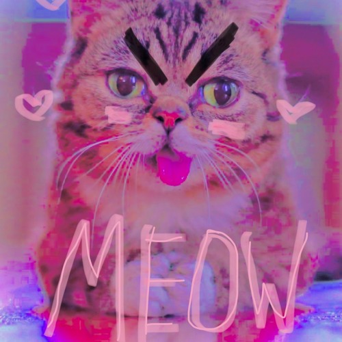 meow