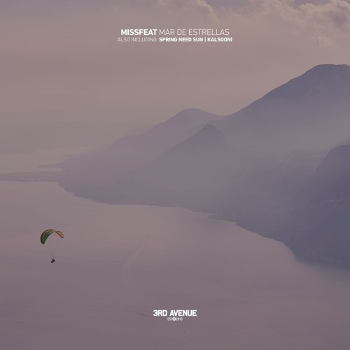 Missfeat - Spring Need Sun [3rd Avenue]