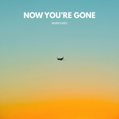 Markvard - Now You're Gone