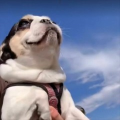 Unfinished Spring 2024