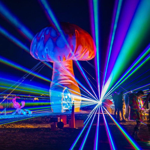 Shroomland Sound Journey - Burning Man'24 Psychedelic Set