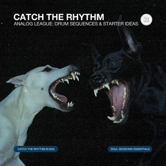 ANALOG LEAGUE: Drum Sequences & Starter Ideas (Sample Pack)