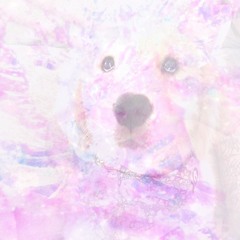 Soft Spin ♪ [remake ROLLER DANCE 2025]