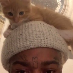 lil tracy - tarantula (saks fifth) [designer talk 2 snippet]