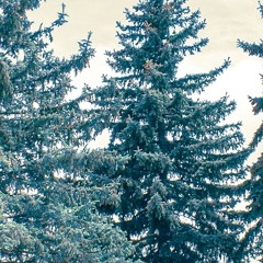 Adam Ten - Cold Summer