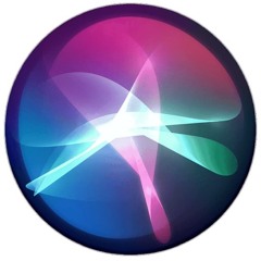 ПРОЕКТ W// Dlll DIARY