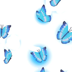 butterfly eyes (feat. TANIA)