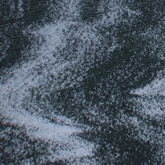 where the noise pools, the light wades in after me