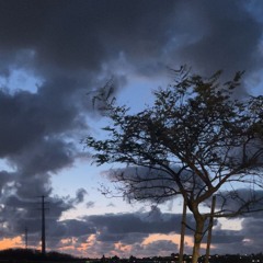 Changed Ft Alex Flockk$ (prodEliiBeatz)