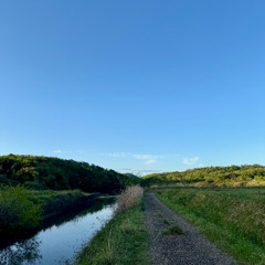 Morning by a stream somewhere