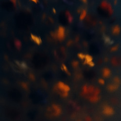 Shattered