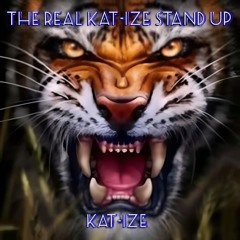 01.The Real KAT-IZE Please Step Up.wav