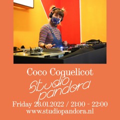 Coco Coquelicot in Studio Pandora