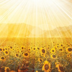 Sweet Summer Time Zephyr (Preview)