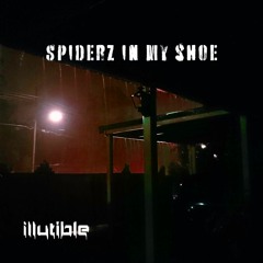 Spiderz in my shoe