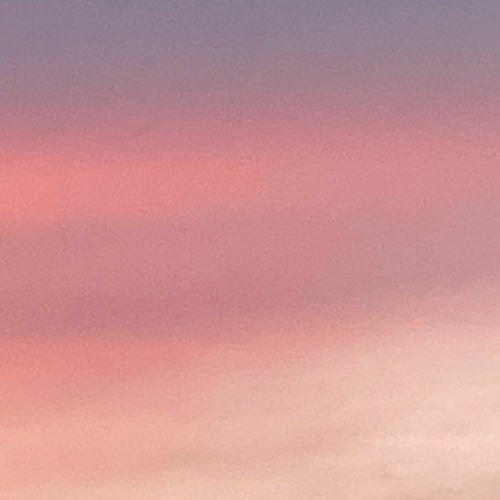 너