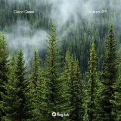 David Green - Kublai (Original Mix)