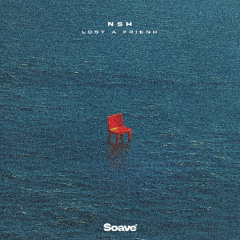 NSH - Lost A Friend