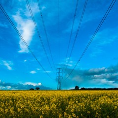 Wichita Lineman (cover)