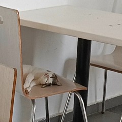 Still With You + She Lives in Paris (ins.) || Jungkook / GEMINI