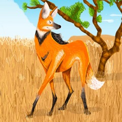 10 LOBO-GUARÁ
