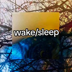wake/sleep