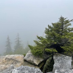 Amazing Grace - Trevor Pullen - 11/23/2025