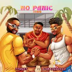 No Panic (30 BG) [feat. Ojazzyigbonile]