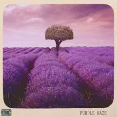 Purple Haze (prod. Dennori Productions)