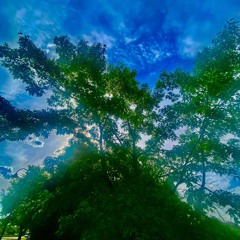 mud - (feat. Pink Goblin)