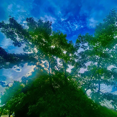 mud - (feat. Pink Goblin)