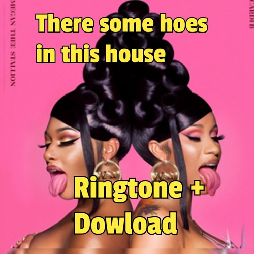 Stream there some hoes in this house ringtone .mp3 by
