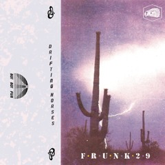 Frunk29 "Vaho"