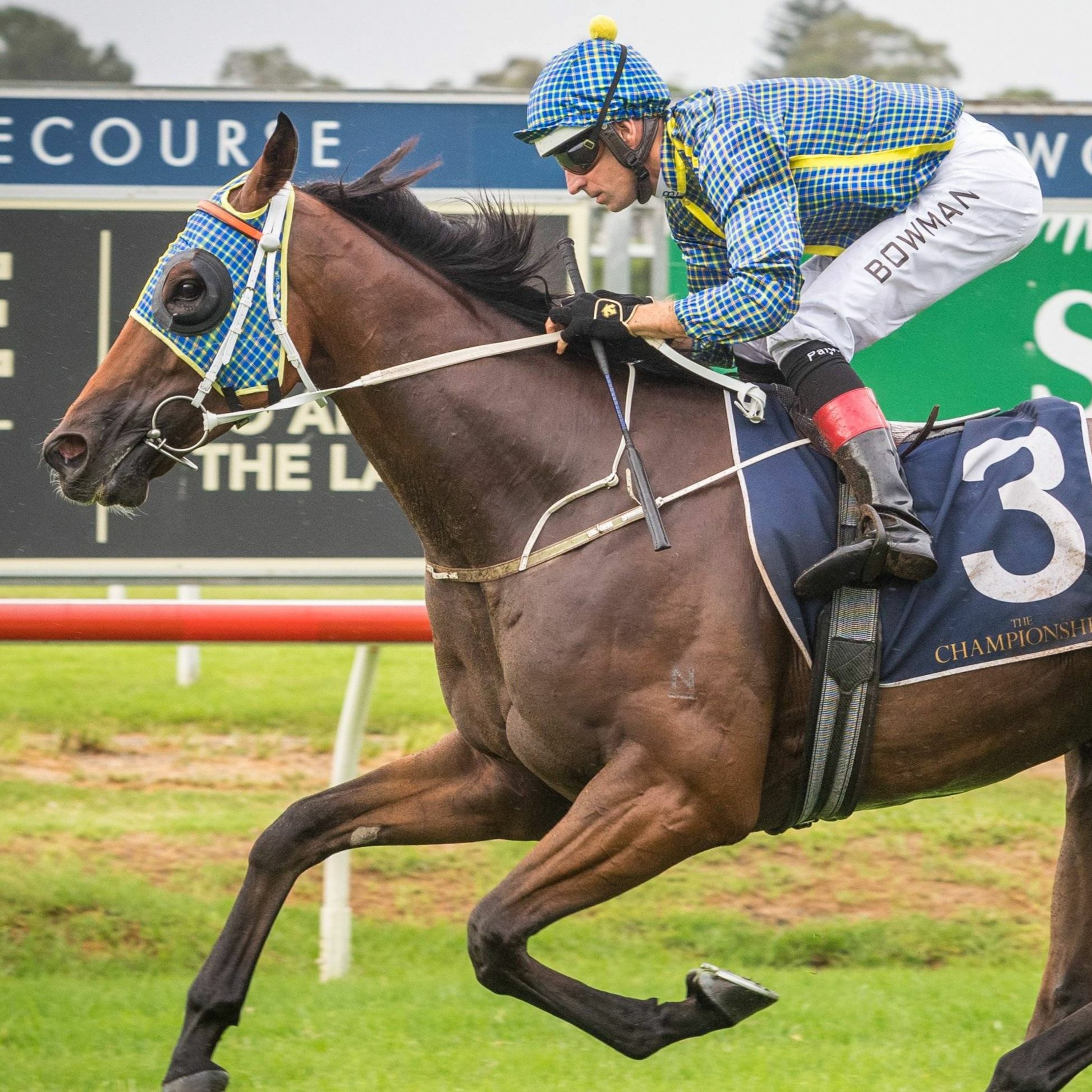 The Championships Day 2 Punting Preview