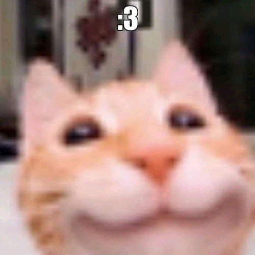 fav