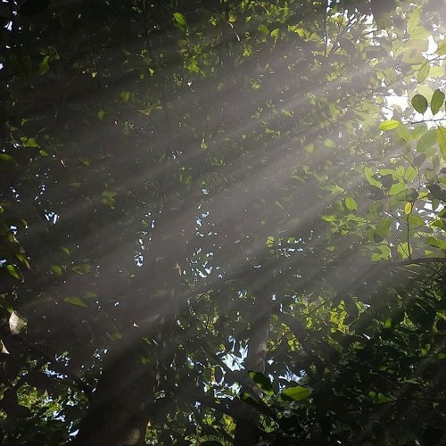 from the beginning [2024]