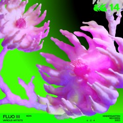 VA - Fluo III [KINDER014]