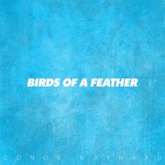 Conor Maynard - Birds of a Feather