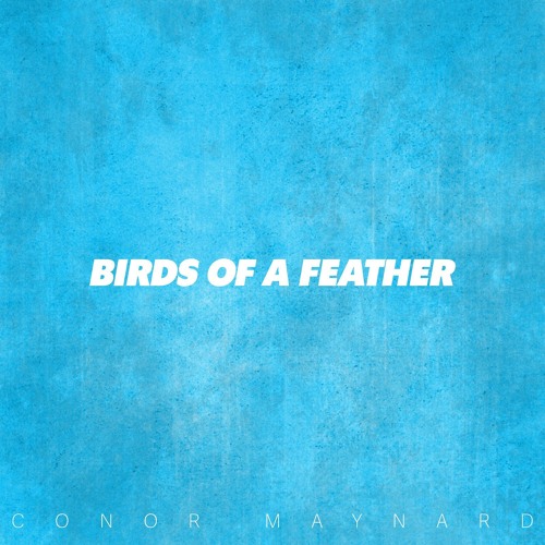 Conor Maynard - Birds of a Feather